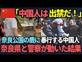 【海外の反応】「日本へ二度と二度と来るんじゃない！」奈良の鹿へ中国人が暴力を振るう事件が勃発する！最終的に議員と警察が対処することに...