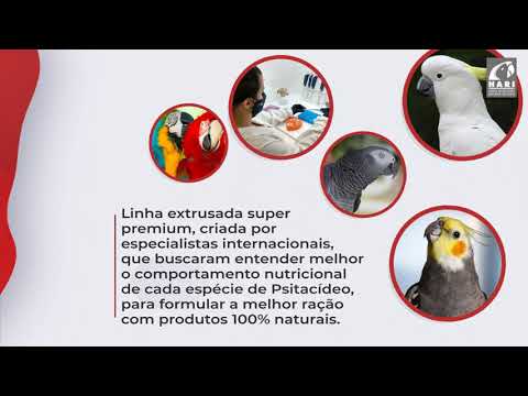 Vídeo: Kaytee Pet Products Recorda Várias De Suas Guloseimas E Verduras Para Pássaros