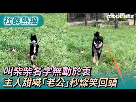 叫柴柴名字無動於衷　主人甜喊「老公」秒燦笑回頭