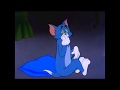 Tom And Jerry Puppy Tale