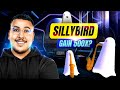 Sillybird   memecoin on solana 