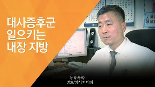 대사증후군 일으키는 내장 지방 - (20121222_441회 방송)_뱃살의 진실