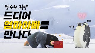 남극행 티켓을 향한 펭수의 무한도전~(feat.힘을줘요 정관장)