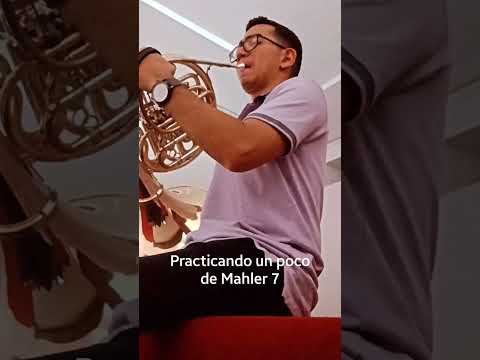 Mahler 7 little solo