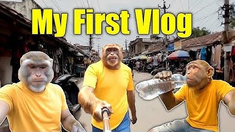Baba bunty 1st Vlog || Ai monkey Vlog || ai monkey shorts