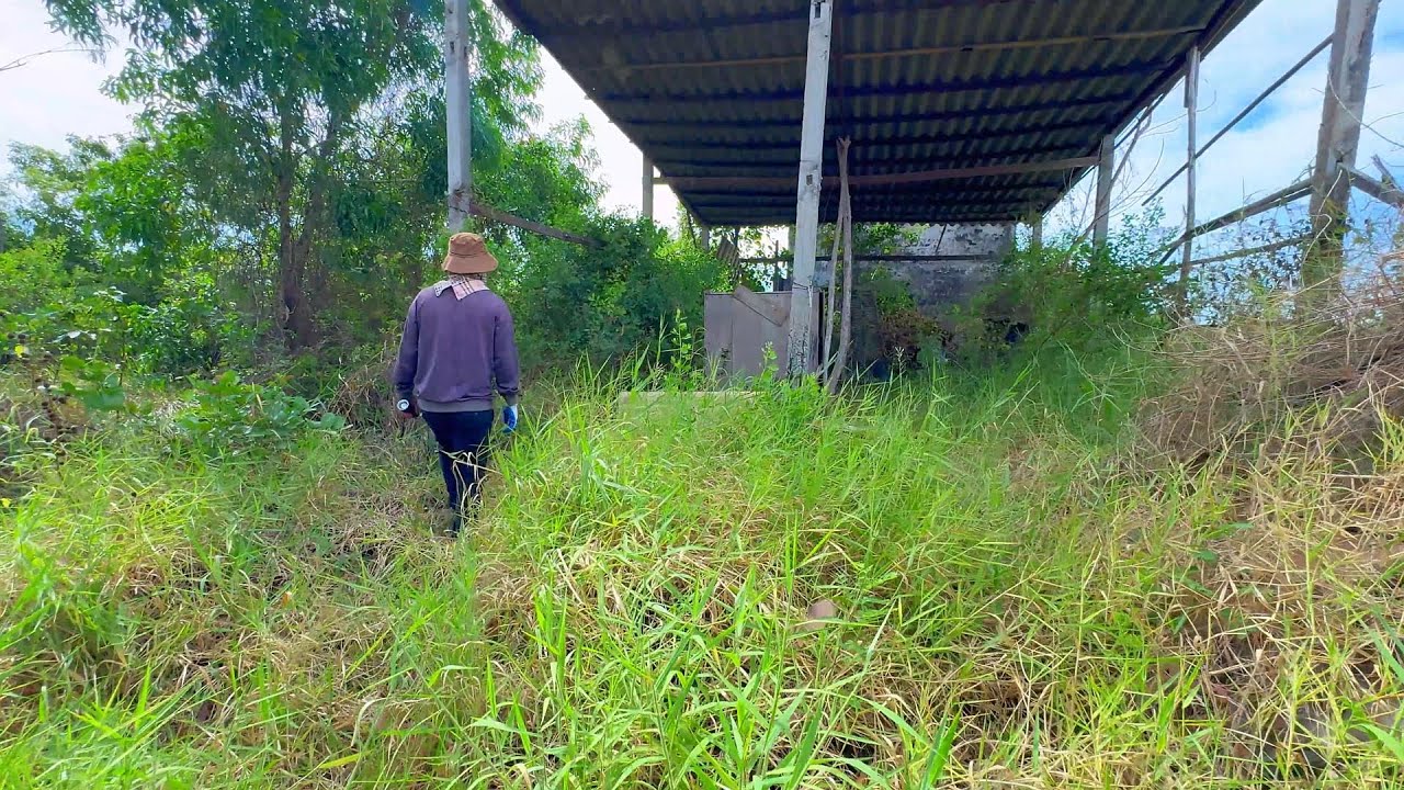 Ветхий дом, который вот-вот должен был рухнуть, был убран, что удивило многих людей