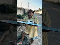 Bueno Cerrado e emocionante