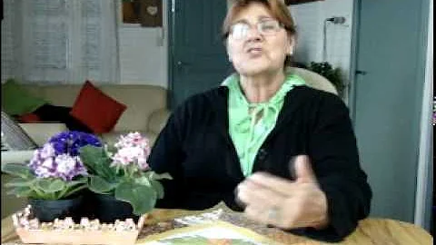Marlene Huber, Entrevista, Testemunho, IECLB, Oziel