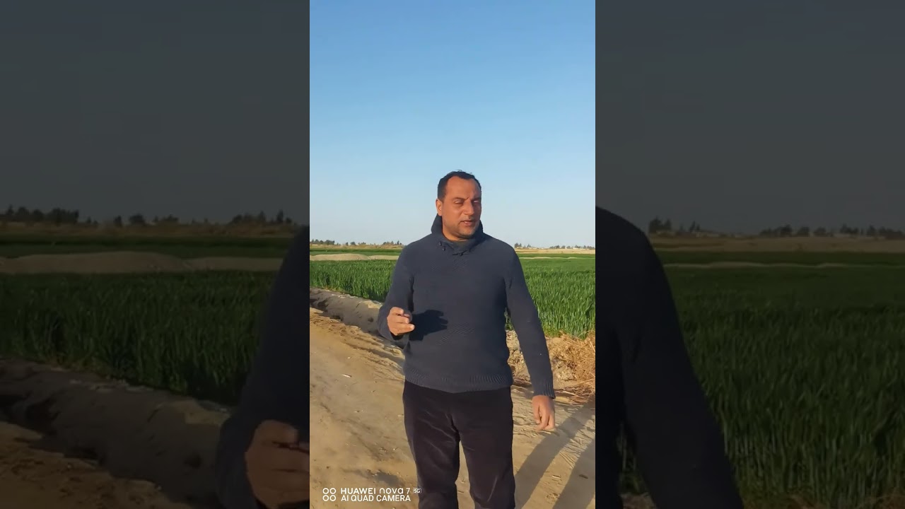 مزارع عوض الله الفرافره مساحات اراضي بكر، اراضي مزروعه للتواصل 01033229010, 01555998814