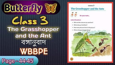 The Grasshopper and the Ant Story Bengali meaning || Class 3 Butterfly Book Page 44 || WBBPE
