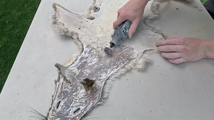 Hide Tanning: The Dry Flesh Method