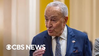 Fallout continues among Democrats over Schumer support for GOP spending bill