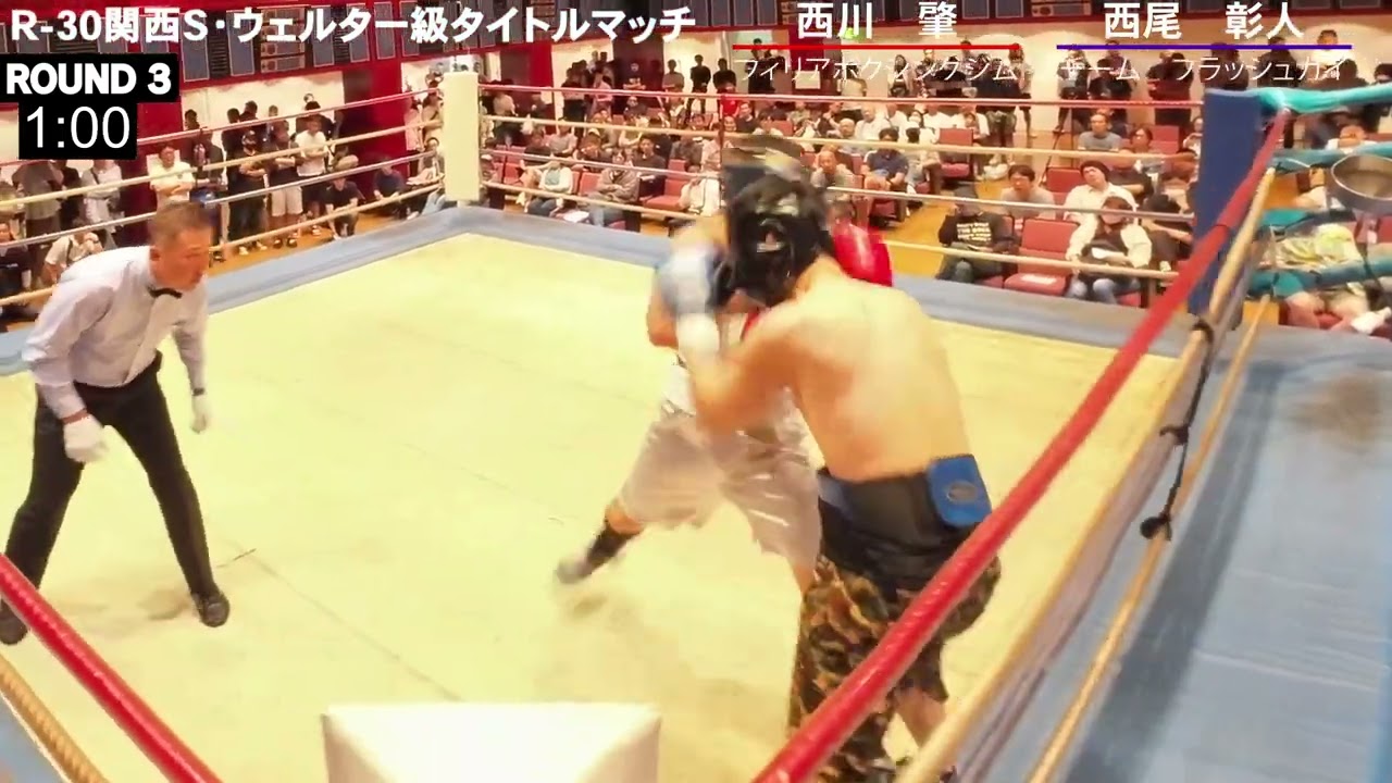 【未使用】シンドラー schindler 牛若＆弁慶〜重技〜 VG-888S/EST | 星菱縫機股份有限公司