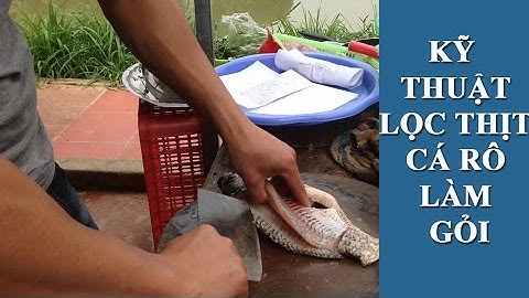 Kỹ thuật lọc thịt cá rô làm gỏi cá Tây Bắc