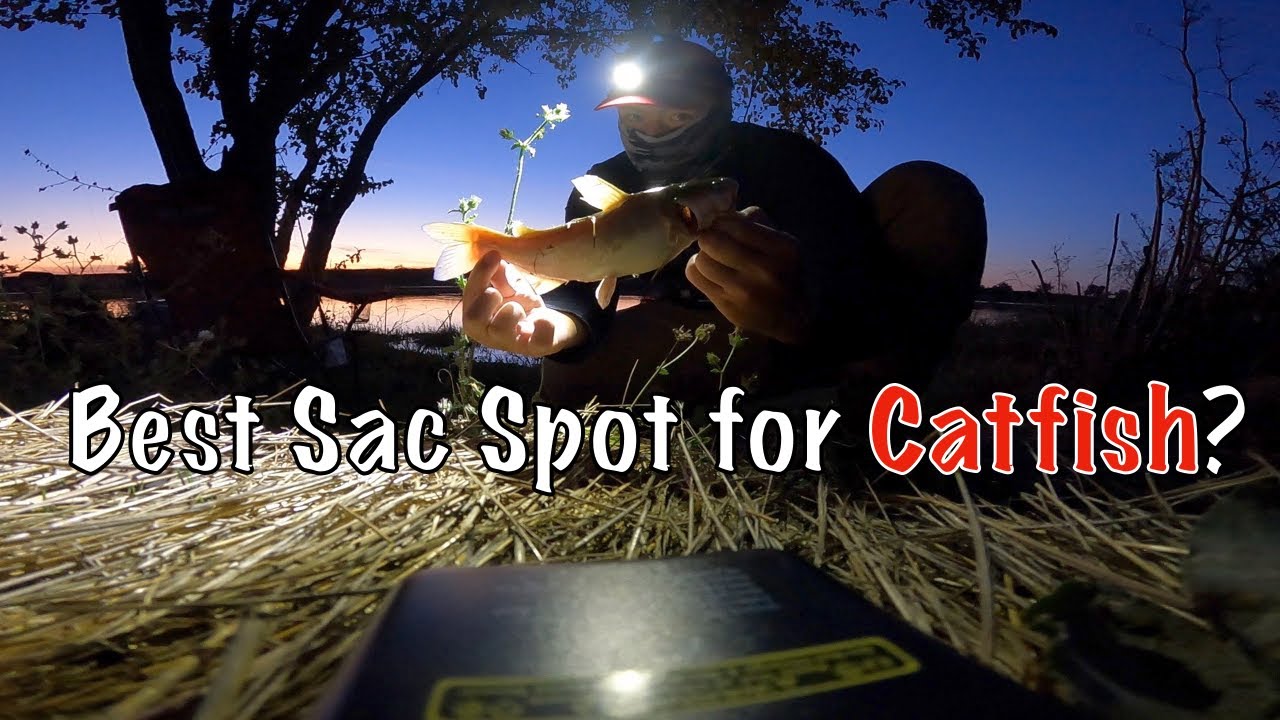 Sacramento River Deep Water Channel Striper/Catfish Fishing in the fall