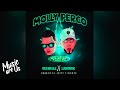 Ref:YYr04833MiQ Laborde ft delvalle - molly perco (official audio)