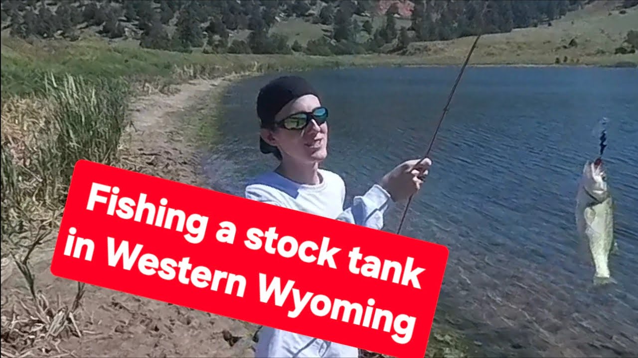 Fishing a stock tank in Eastern Wyoming