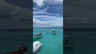 Come with me to Barbuda on a boat tour 🇦🇬 #antiguaandbarbuda