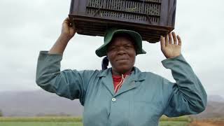The SPAR Group | Leaders in Job Creation & Supplier Development