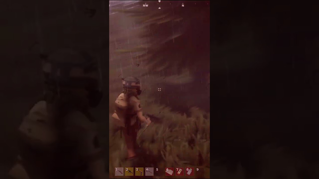 That's Not Raiders that's Soldiers. 