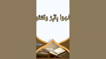 القارئ/ عبدالرحمن سليم تراويح رمضان ١٤٤٦