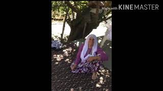 Sait Yildiz Benim Anam Tüm Annelere Armağan Olsun