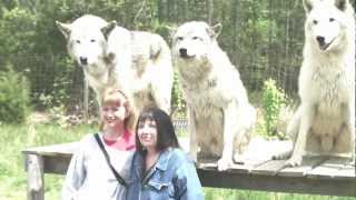 Howling Woods Farm - Cheese Time