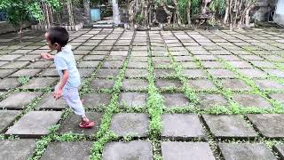 IMG 7157