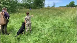 Wirral fundogs