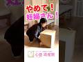 手がだめなら足?「妊婦」重い荷物を持ち上げる?え?#腰痛 #妊婦生活 #妊婦整体
