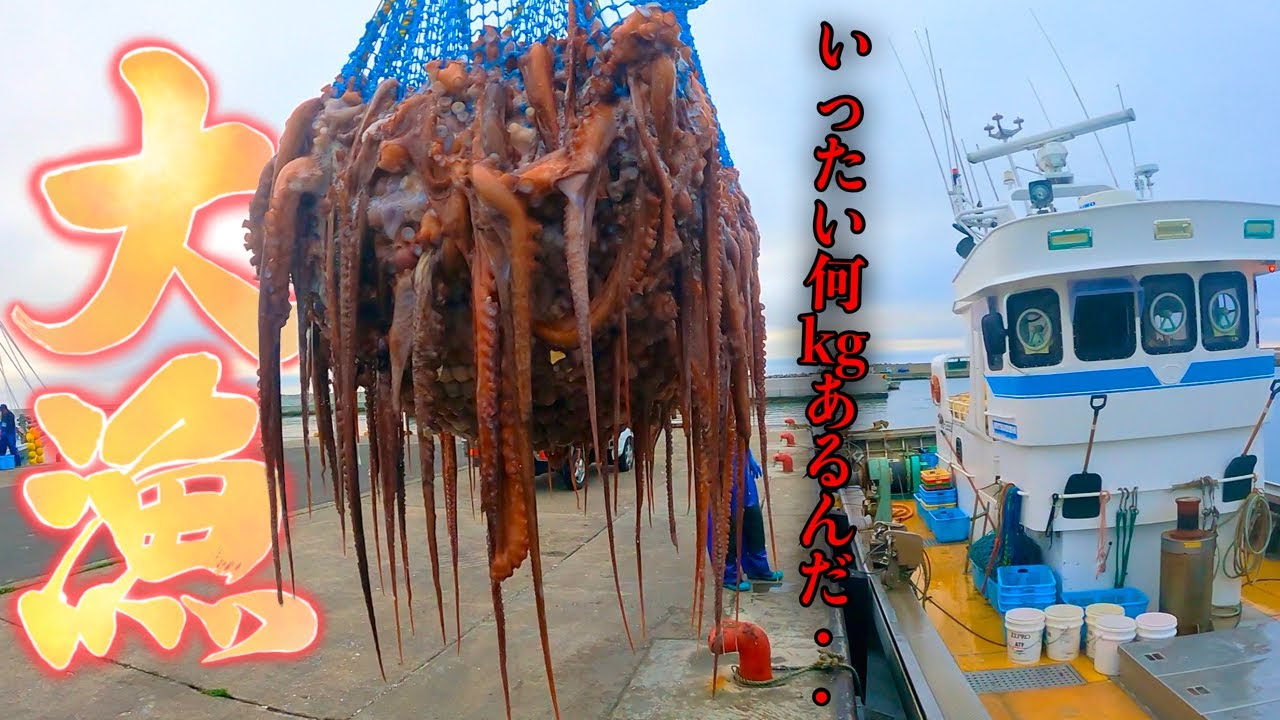 Большое изменение от плохих уловов осьминога! ! и еда.