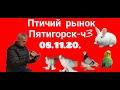 08.11.20. Птичий рынок г. Пятигорск- ч3.08.11.20. Poultry market of Pyatigorsk - h3.