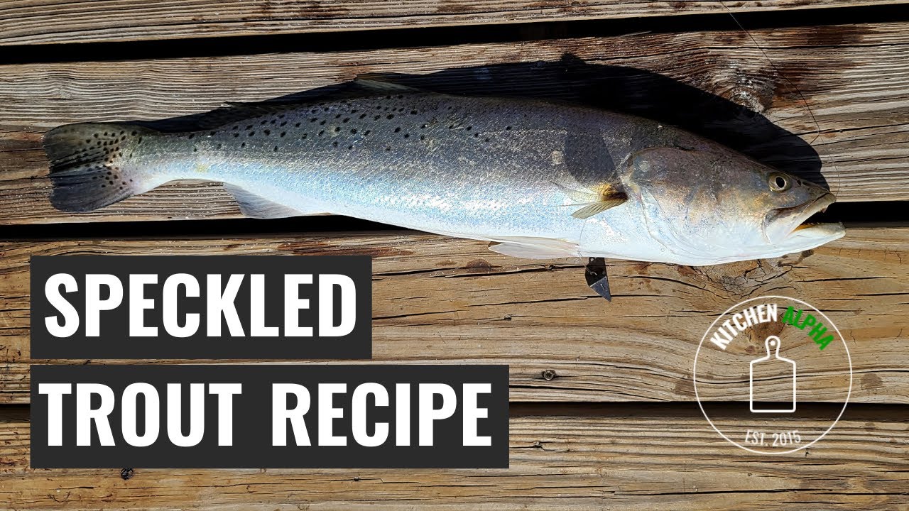 Speckled Trout Recipe Grilled Fish On