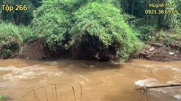 Bán vườn trái cây giáp suối đường xe hơi gần sân bay Long Thành giá rẻ