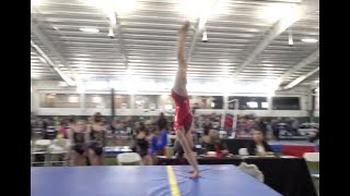 Compulsory Vault Practice Judging:  Levels 3, 4, and 5