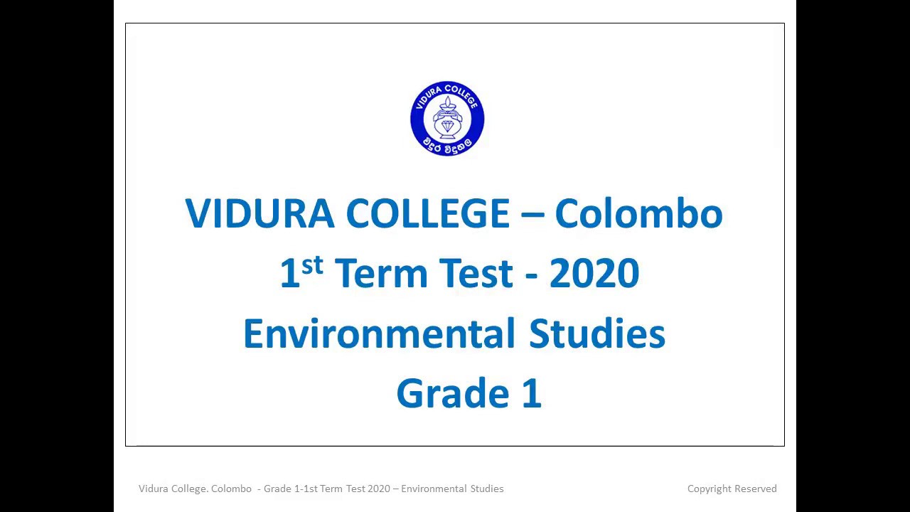 grade 1 env 1st term test guidance youtube