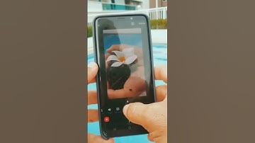 inshot video editing ll creative Nature photography tricks l videography  l Ur smartmaker ll #shorts