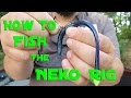 Bass Fishing - How to Fish the Neko Rig