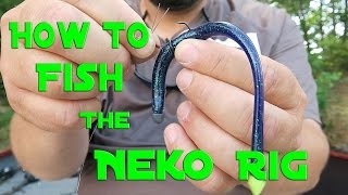 Bass Fishing  How to Fish the Neko Rig