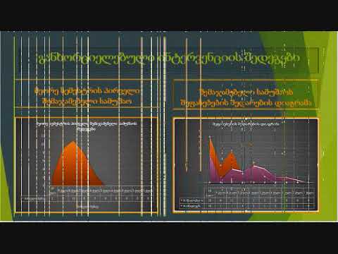 პრაქტიკული კვლევა ნინო ჟვანია