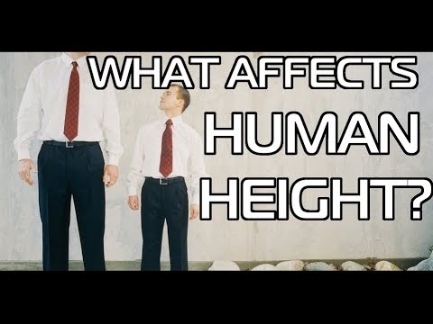 What Affects Human Height? Why are Southern Slavs and Scandinavians So Tall?