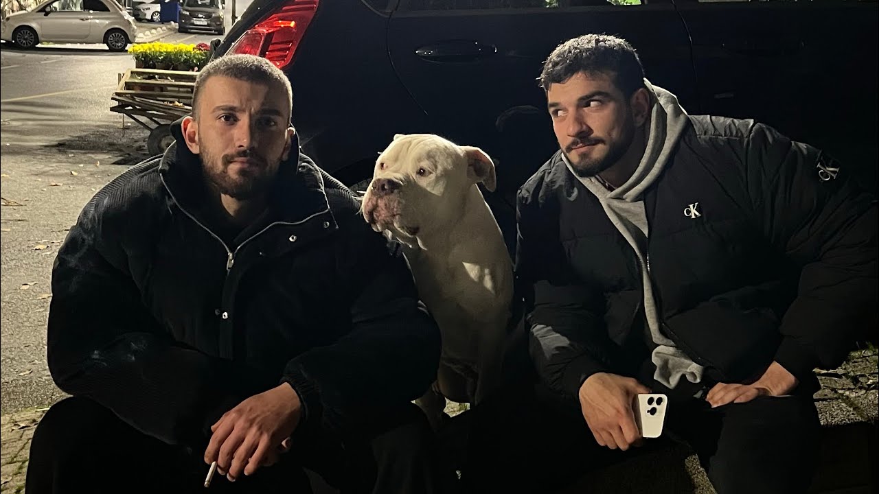 Gerçek dostlar taşınırken belli olur