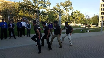 Lambda Theta Phi- Gamma Phi chapter