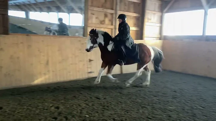 Dec, Trecability, Open, Jill Delaney & Comanche su...