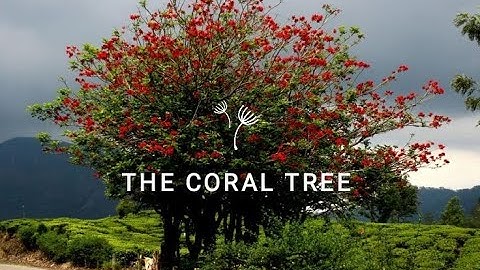 The Coral Tree ___ Ruskin Bond