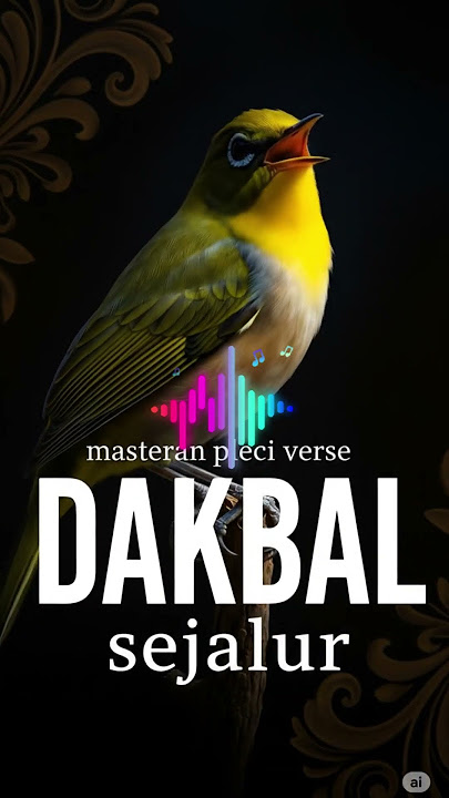 PLECI DAKBAL TEMBAKAN SEJALUR #plecigacor  #plecimania#masteranburung