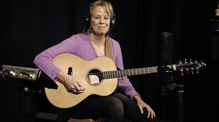 Sue Sheehan Band - Take in Stride (2020)