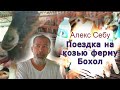 Алекс Себу - филиппинская козья ферма на острове Бохол