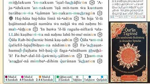 ختمة من مصحف التجويد باللغة الألمانية الصفحة رقم 344