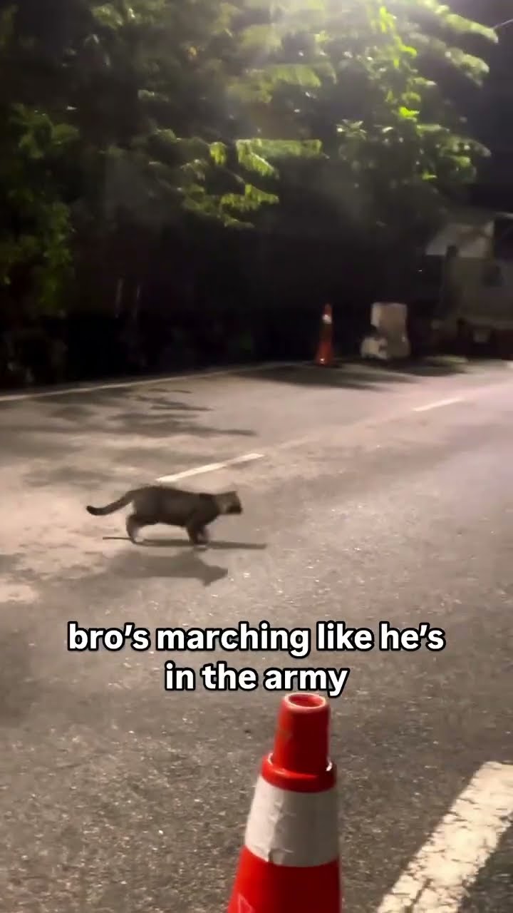 Bro in ur band but he marching to that prvnci not knowing what’s in the cam